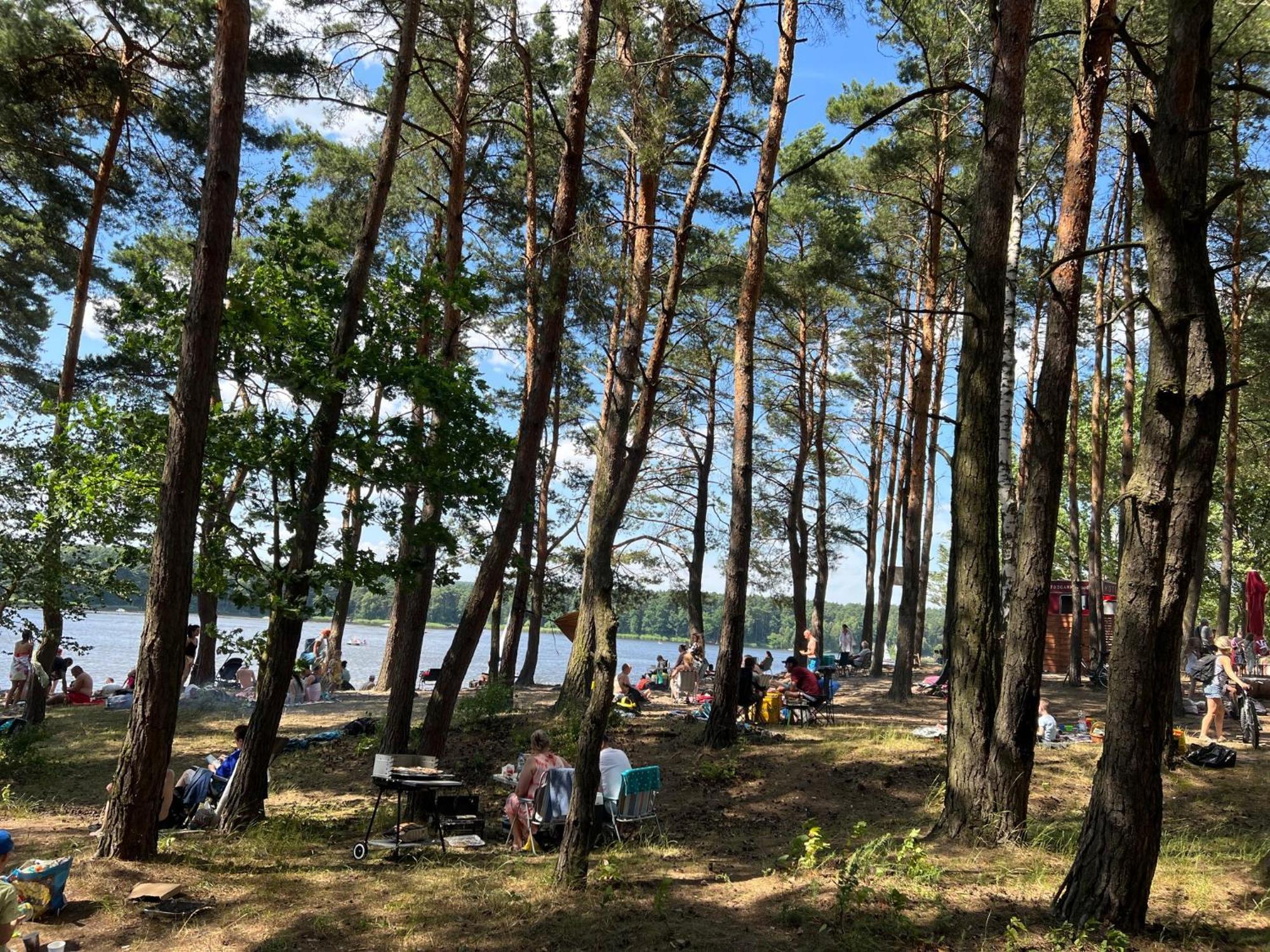 Family Sauna Teznia Apartments: Luxurious Forest Retreat With Scenic Views Apartment Kielce